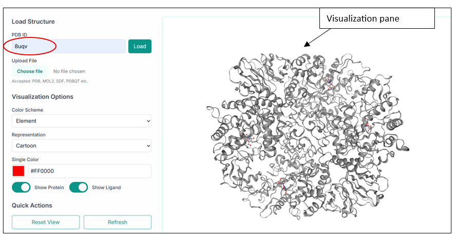 Loaded structure in visualization pane