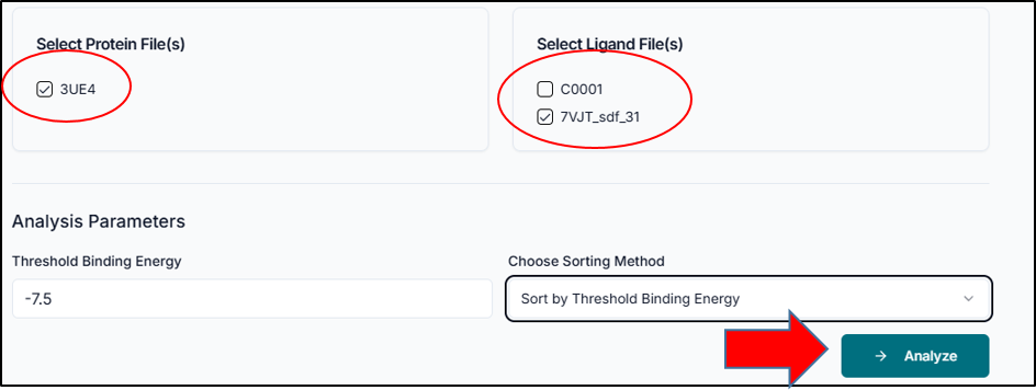 Set analysis parameters and run